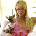 paris-hilton